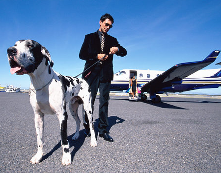 undefined{{pos:,w:,h:}}