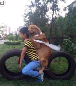 开车吧我准备好了