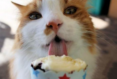 就要吃得这么陶醉吗，简直引人犯罪