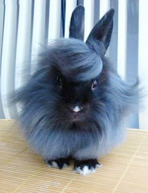 最顶尖的造型设计