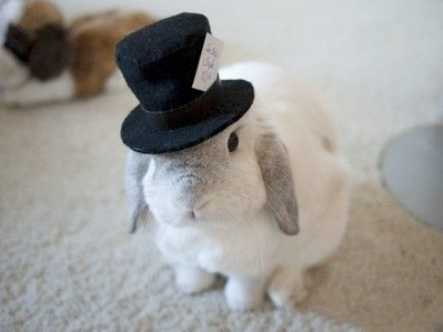 老板，就要这顶，结账！