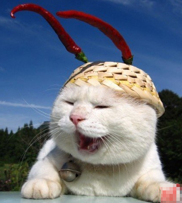 谁在说哥的头不大？