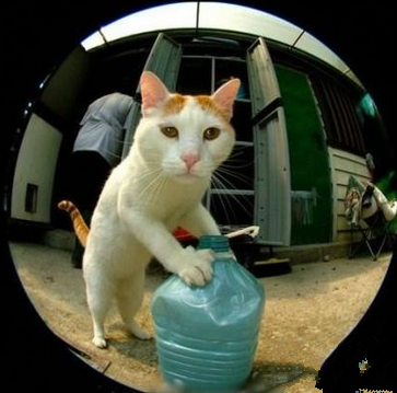 送水的，赶紧把门开开