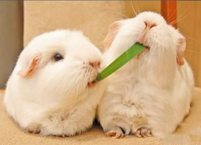 老公，你吃的太多了