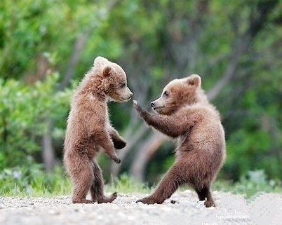 这是要比划拳脚吗？