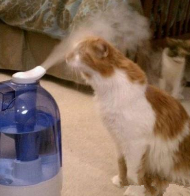 冬天干燥，要注意保湿