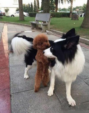 亲爱的，你爱我吗