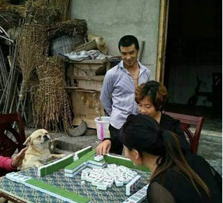 二汪该你出牌了