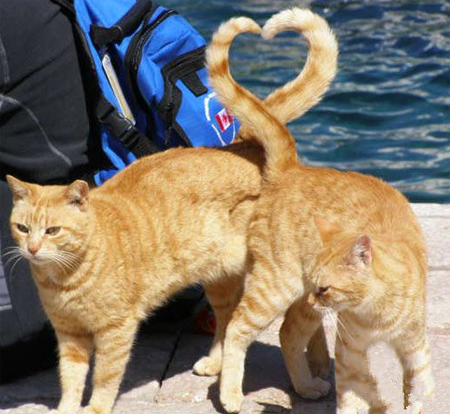 这是闹那样啊？ 