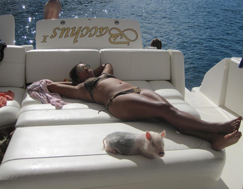 undefined{{pos:,w:,h:}}