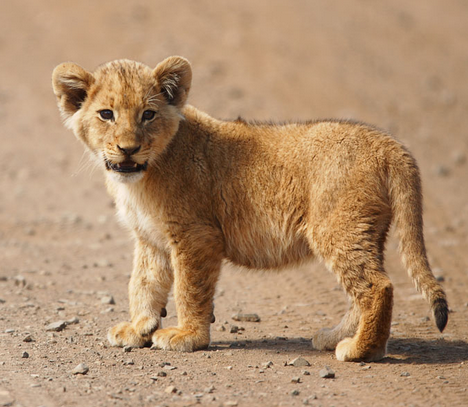 undefined{{pos:,w:,h:}}