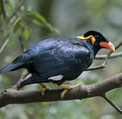 undefined{{pos:,w:,h:}}