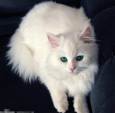 undefined{{pos:,w:,h:}}