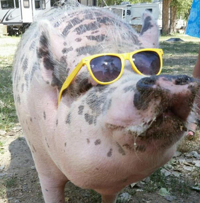 undefined{{pos:,w:,h:}}