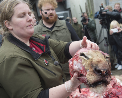 undefined{{pos:,w:,h:}}