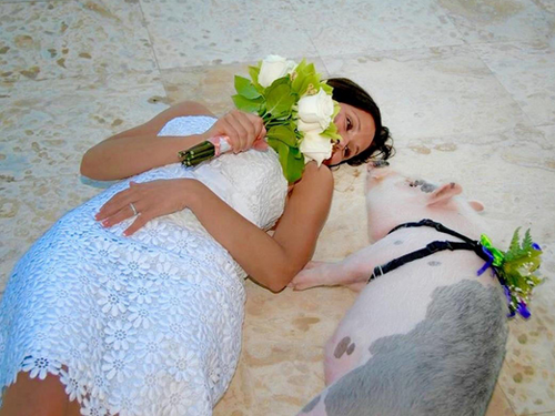 undefined{{pos:,w:,h:}}