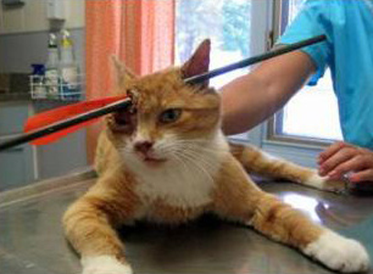 undefined{{pos:,w:,h:}}