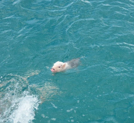 undefined{{pos:,w:,h:}}