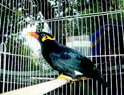 undefined{{pos:,w:,h:}}