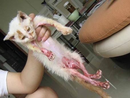 undefined{{pos:,w:,h:}}