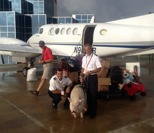 undefined{{pos:,w:,h:}}