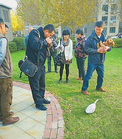 小区多只宠物狗误食东西死亡 疑似有人投毒