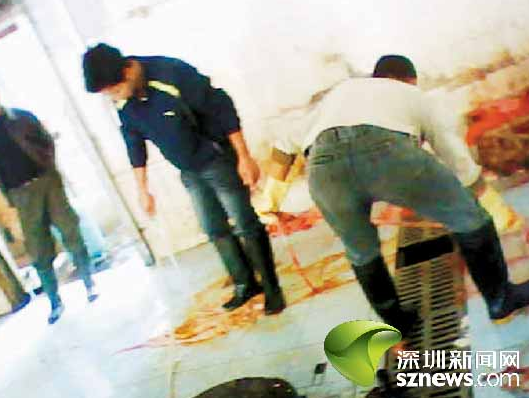 羊狗肉私宰点被多次曝光仍经营 羊狗肉大多流向市场