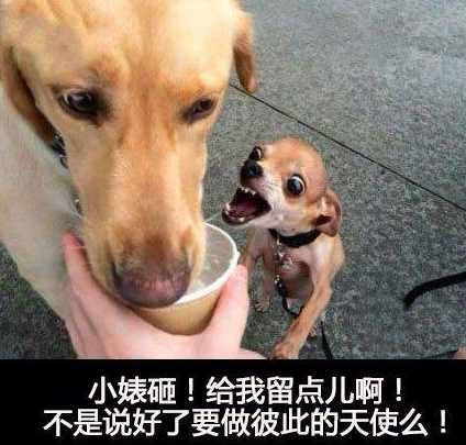 说好做彼此的天使......