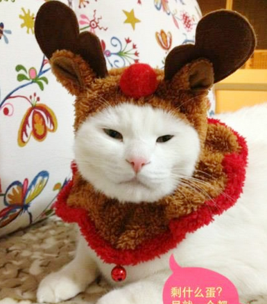 可以帮我换掉吗，我不喜欢这款！