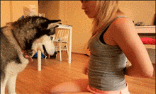 流氓二哈！放开那个妹子！让我来！