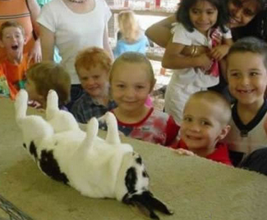 不给我吃的我打死也不起来！