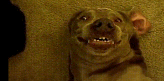 当朋友帮我拍照，连拍好几张还没拍好时的我