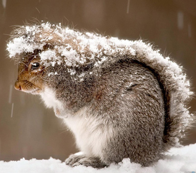 天生一副好皮囊