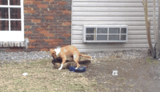 一切来的太快就像龙卷风