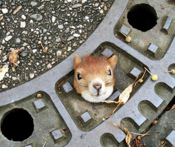 我被卡住了，救救我吧！