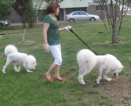 物业为约束居民文明饲养 对饲养宠物业主停水电