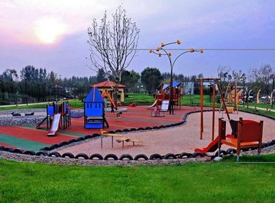 宠物活动区提供全方位的服务 主人外出宠物能尽情玩耍