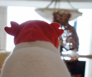 思考喵生的时间