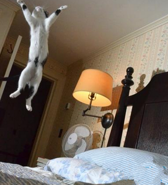 末日没死，老子重生啦