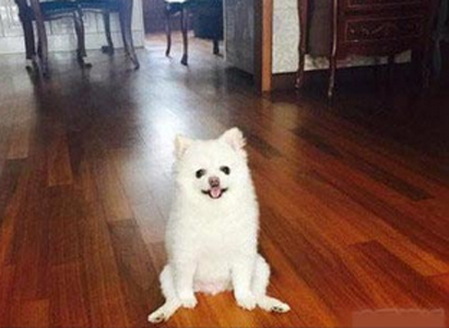 捕获一只野生青蛙