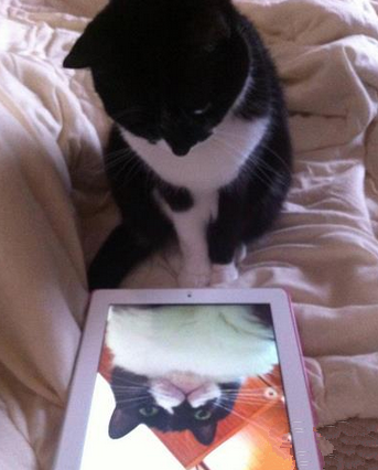 艾玛艹，这张又照坏了！