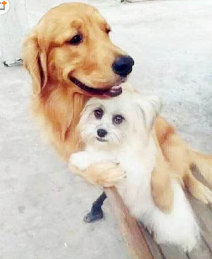 保护老婆是我的天职