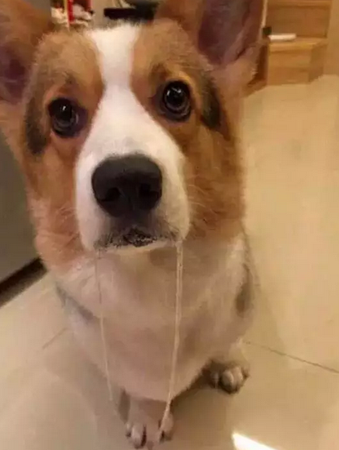 瞧你那哈喇子~~都能跳绳了~~