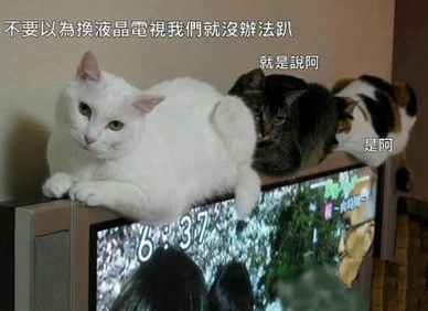 人类，我们照样趴