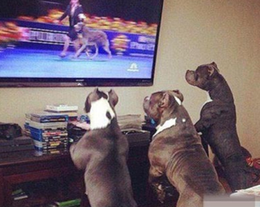 看看人家的女朋友