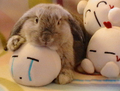 我真没有欺负她