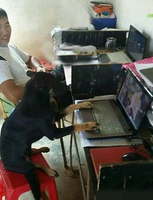 你永远不知道你的队友是人是狗