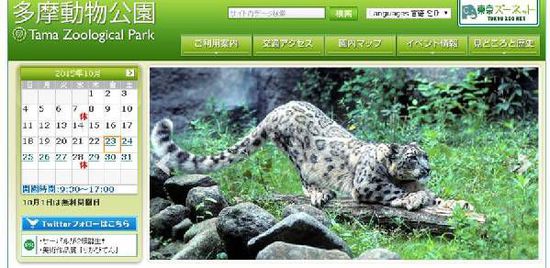 国内动物园老虎狮子很骨感 国外动物园保持昔日雄风