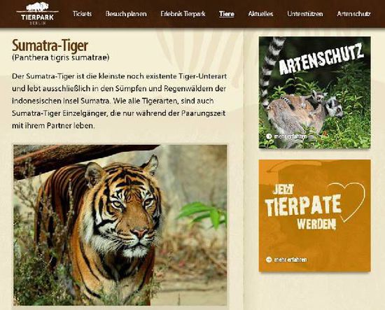 国内动物园老虎狮子很骨感 国外动物园保持昔日雄风