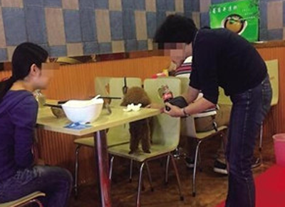 带宠物狗进餐厅并与宠物同桌共餐惹争议